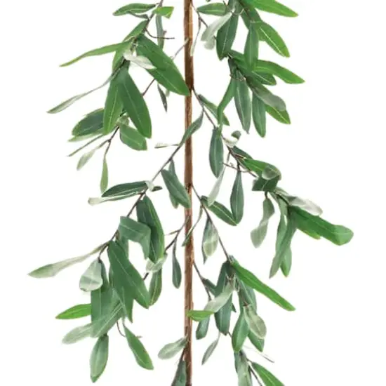 5.5ft. Olive Leaf Foliage Garland {4}
