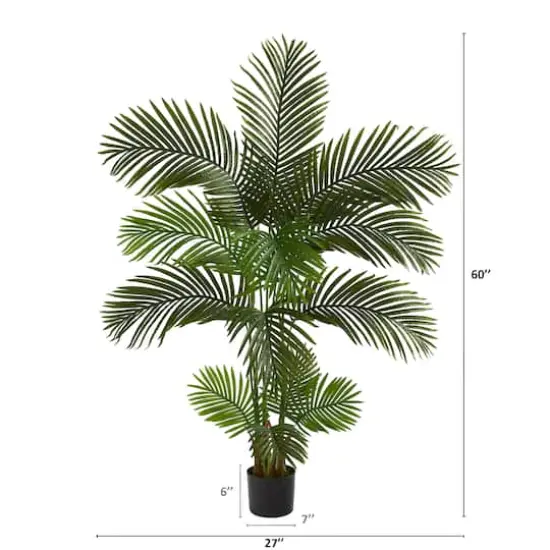 5ft. Potted Areca Palm Tree {3}