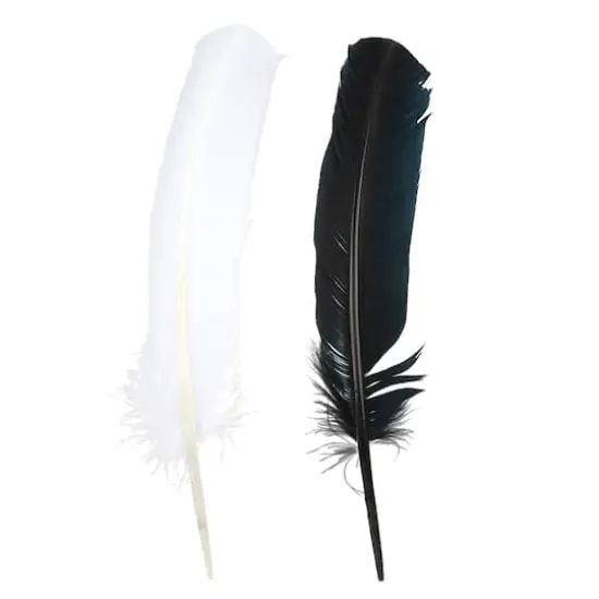 Black & White Quill Feather Mix by Creatology&trade; {1}
