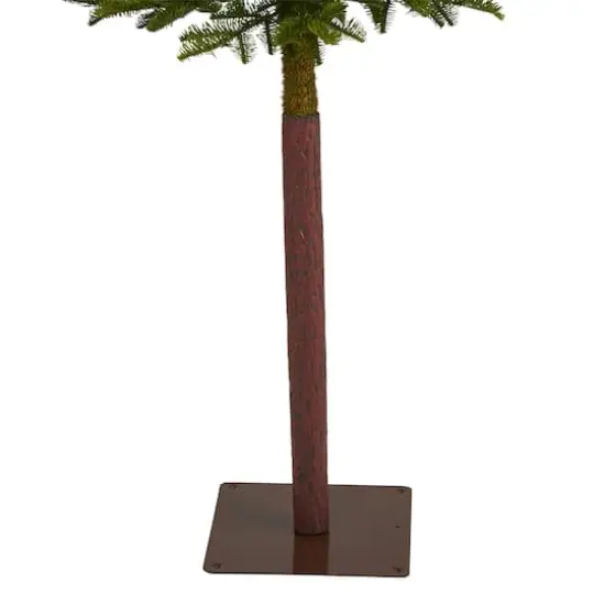 6ft. Pre-Lit Alaskan Alpine Artificial Christmas Tree, Clear LED Lights {6}