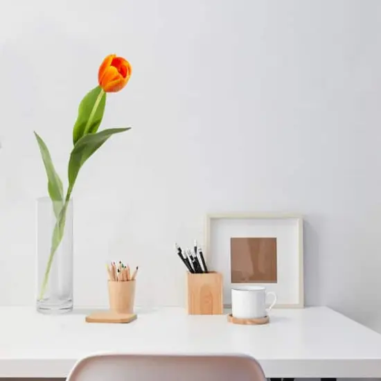 Orange Tulip Stem, 8ct. {4}