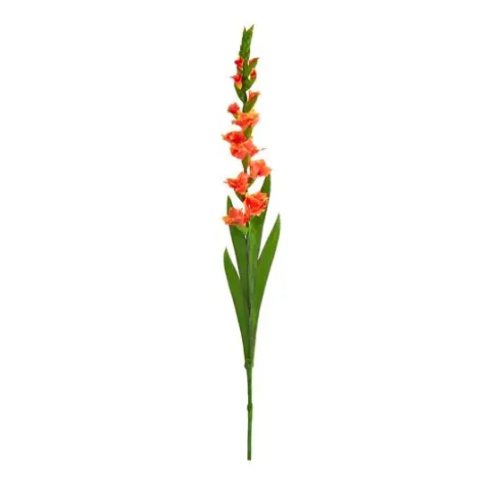 Salmon Gladiolus Flower Stems, 3ct. {1}