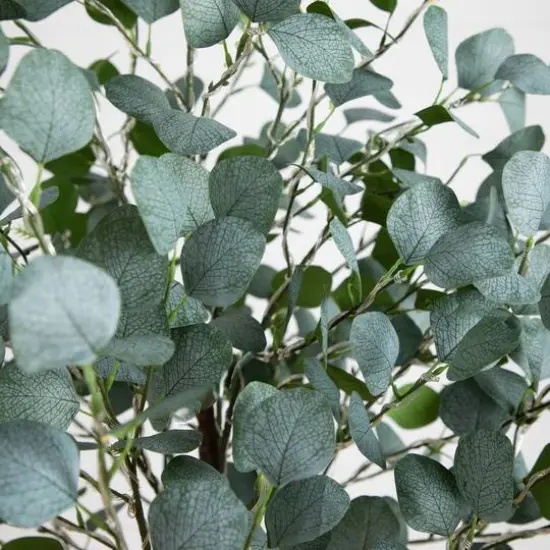 6ft. Pre-Lit Artificial Eucalyptus Tree with Warm White LED Lights {8}