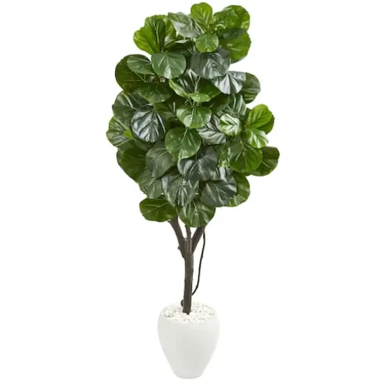 5.5ft. Fiddle Leaf Fig Tree in White Planter {1}