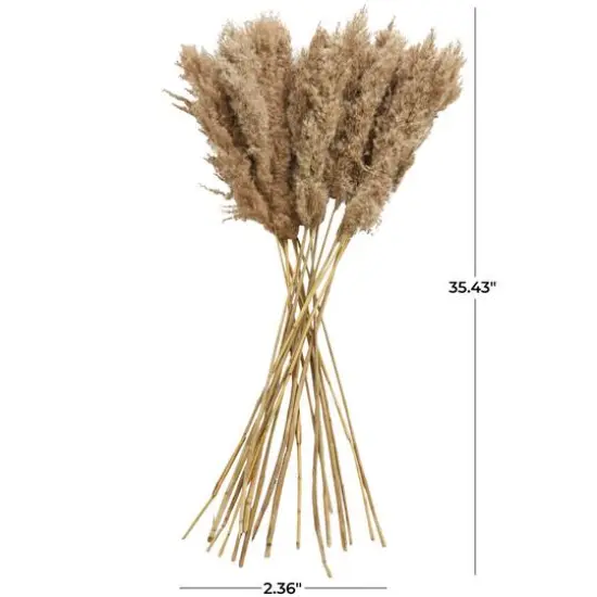 Dried Plant Pampas Natural Foliage with Long Stems Brown {8}