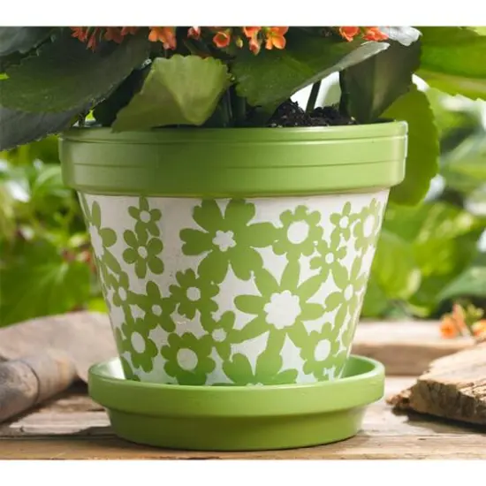 FolkArt® Outdoor Gloss Acrylic Craft Paint 12 Color Set {10}