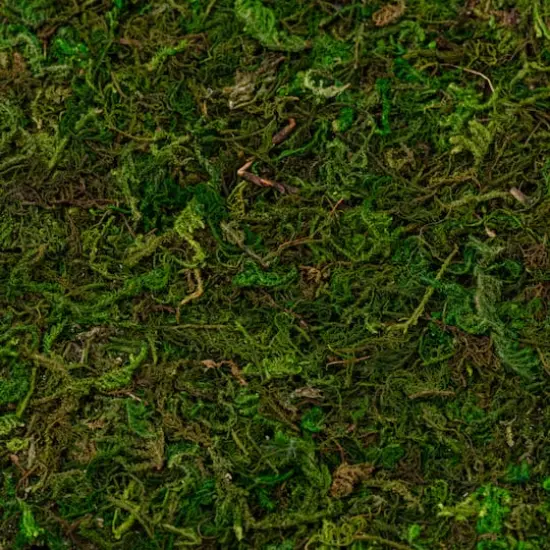 Moss Mat by Ashland&reg; {4}