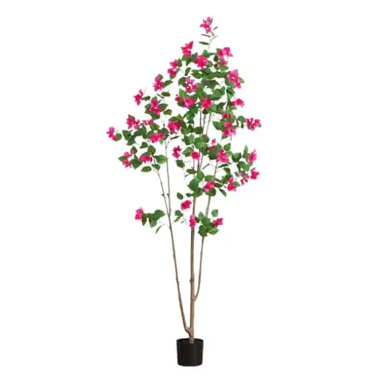 7ft. Potted Pink Minimalist Bougainvillea Tree {1}