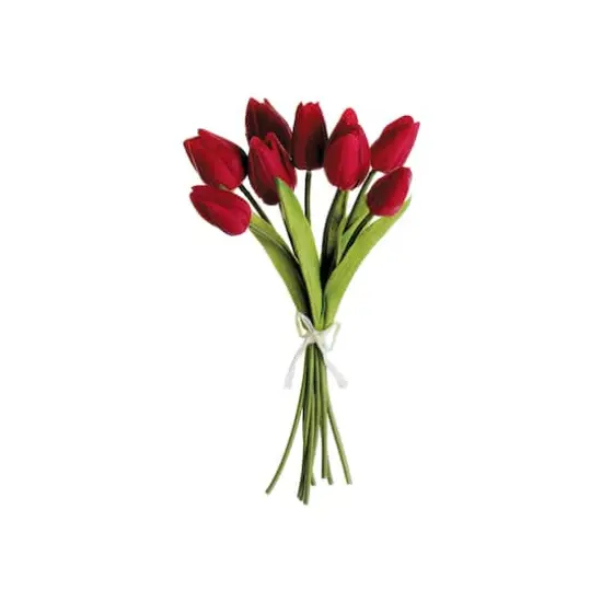 Soft Touch Red Tulip Bundle {1}