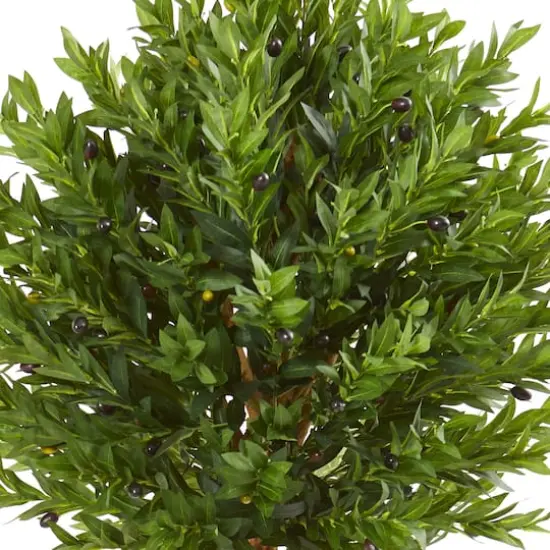 5.5ft. Potted Olive Topiary Tree {3}