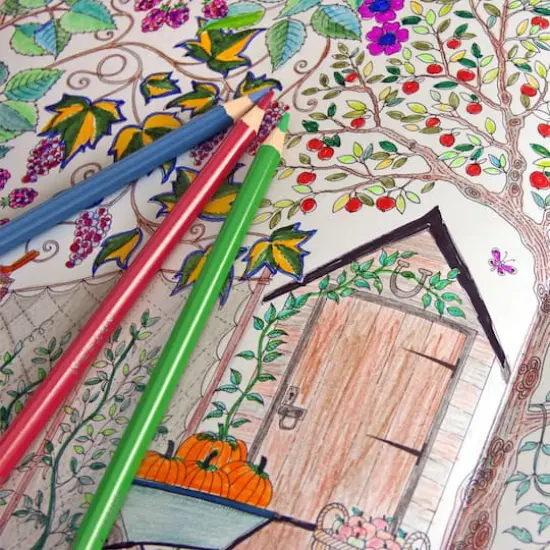 Arteza&reg; Premium Colored Pencils, 48ct. {6}