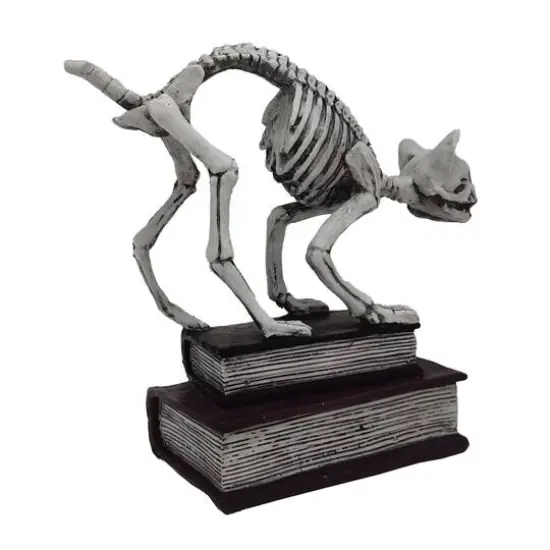7" Skeleton Cat with Books Tabletop D&eacute;cor by Ashland&reg; {5}