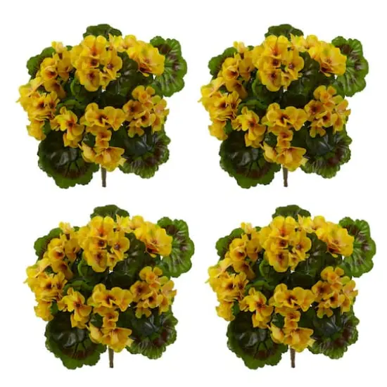 Yellow Geranium Bush, 4ct. {3}
