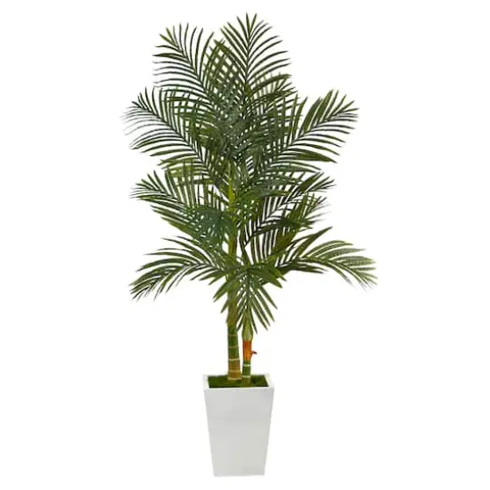 5.5ft. Golden Cane Artificial Palm Tree in White Metal Planter {1}