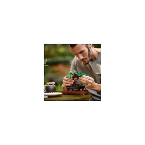 LEGO&reg; Botanicals&trade; Bonsai Tree {6}