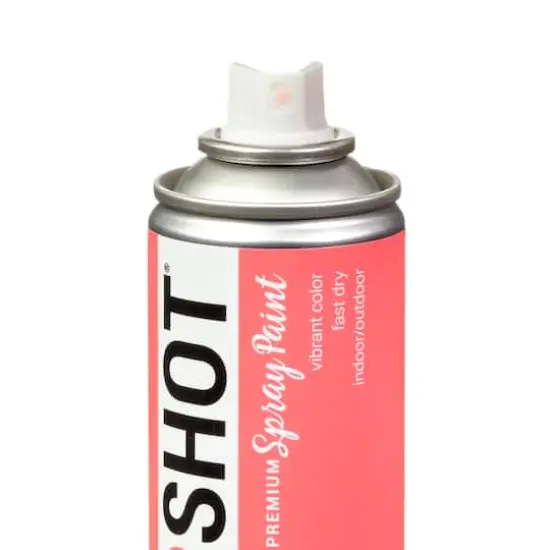 COLORSHOT&reg; Premium Gloss Spray Paint Summer Pedicure {5}
