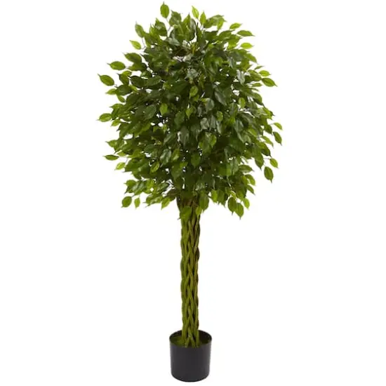 5ft. Potted Woven Trunk Ficus Tree {1}
