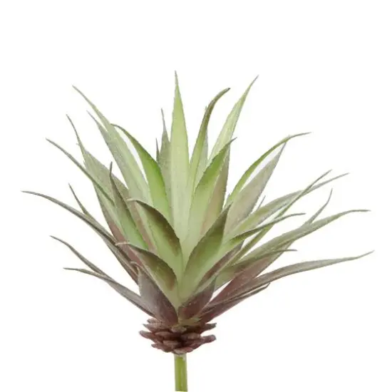 Flora Bunda&reg; Agave Succulent Pick, 6ct. {1}