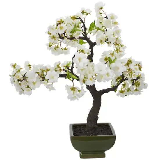 20" White Cherry Blossom Bonsai Tree in Green Planter {1}