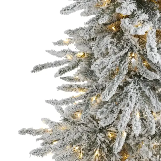 6.5ft. Pre-Lit Flocked Grand Northern Rocky Fir Artificial Christmas Tree, Warm Micro LED Lights {4}