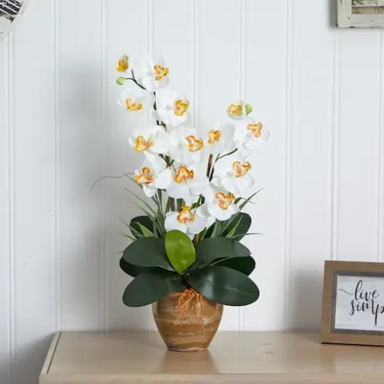 25" Cream Double Phalaenopsis Silk Orchid Flower Arrangement in Ceramic Pot {4}