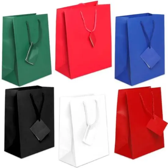 JAM Paper Assorted Large Matte Gift Bags with Rope Handles, 6ct. {1}