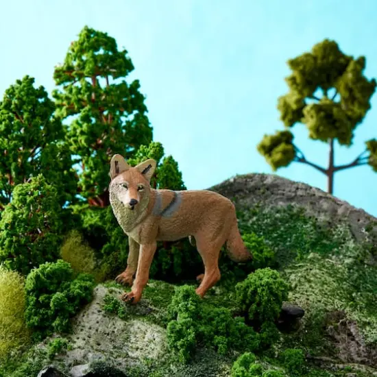 Safari Ltd&reg; Coyote {3}