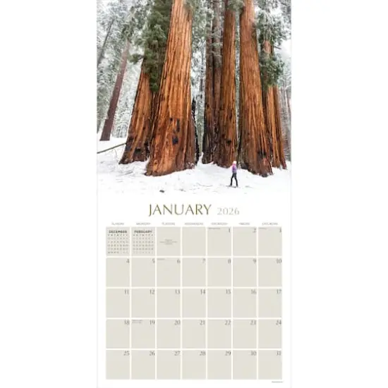 2026 Trees Wall Calendar {3}