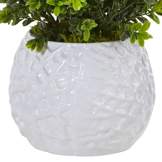 17" Boxwood in White Vase {4}