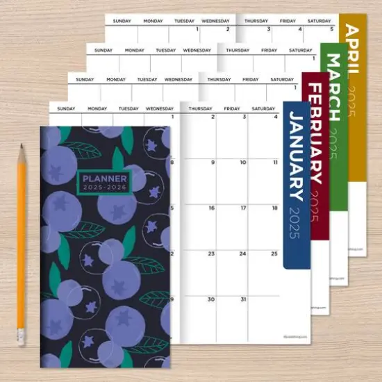 TF Publishing 2025 - 2026 Blueberry Small Monthly Pocket Planner {8}
