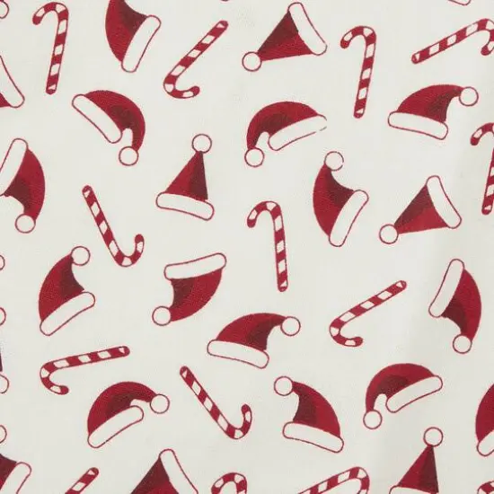 DII&reg; Santa Dishtowel Set {6}