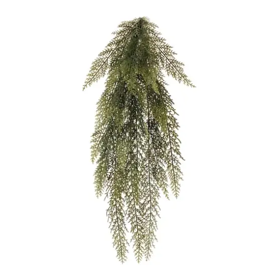 2.5ft. Variegated Pine Vine {1}