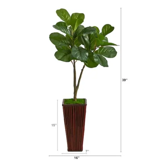 3ft. Fiddle Leaf Fig Tree in Bamboo Planter {4}