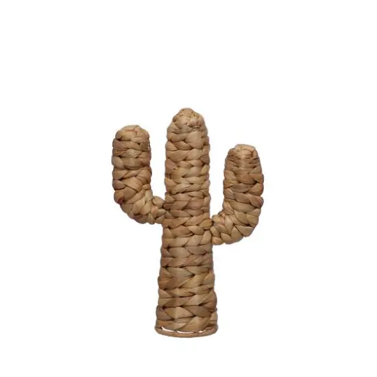 11.75" Water Hyacinth Cactus Tabletop D&eacute;cor by Ashland&reg; {3}