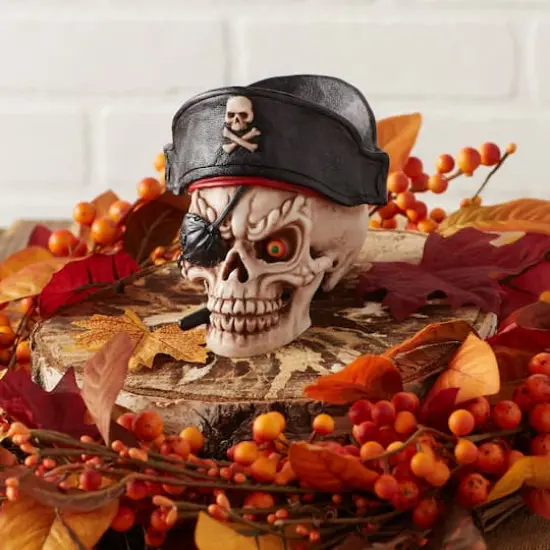 Dragon Crest Grinning Pirate Skull D&eacute;cor {5}