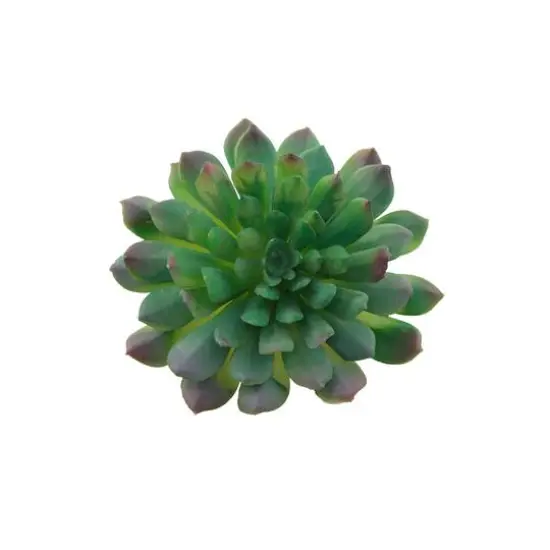 Flora Bunda&reg; Succulent Pick, 6ct. {1}