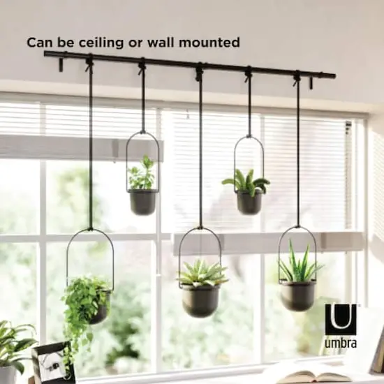 Umbra Black Triflora Hanging Planter Set {5}