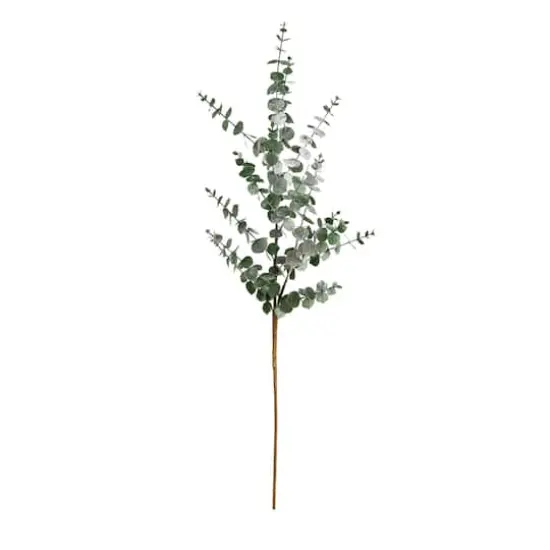40" Green Eucalyptus Stems, 3ct. {1}