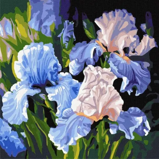 Ideyka Bright Irises Painting by Numbers Kit {1}