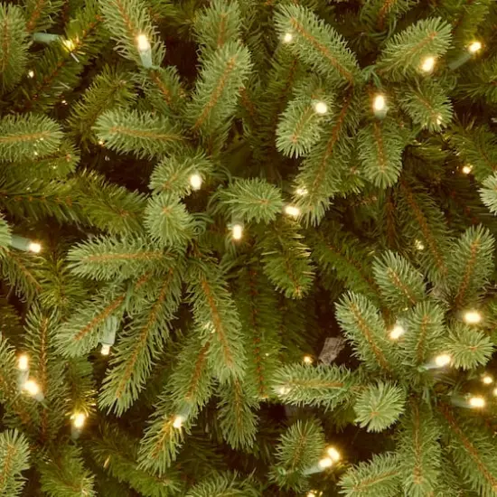 6.5 ft. Pre-Lit Jersey Fraser Fir Slim Artificial Christmas Tree, Clear Lights {4}