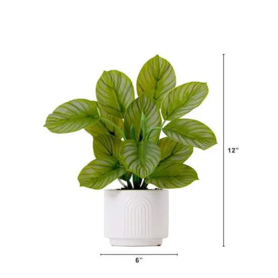 12" Artificial Calathea Plant with Decorative Planter {3}