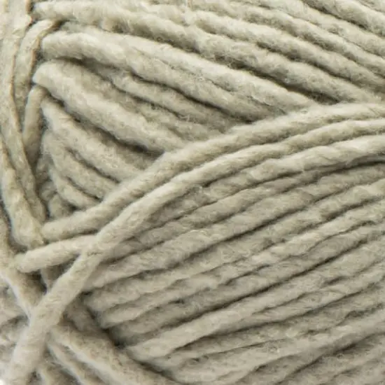 Bernat&reg; Forever Fleece&trade; Yarn Matcha {3}