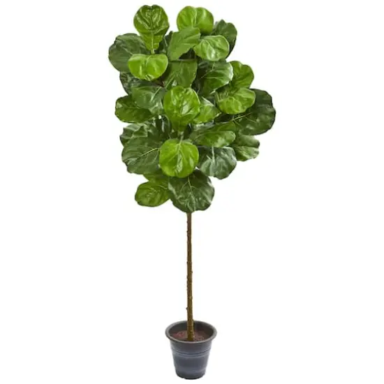 5ft. Fiddle Leaf Fig Tree with Decorative Planter {1}