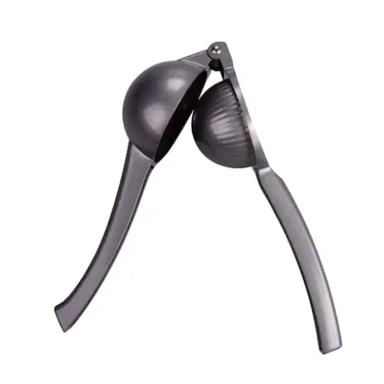 Citrus Squeezer by Celebrate It&reg; {5}