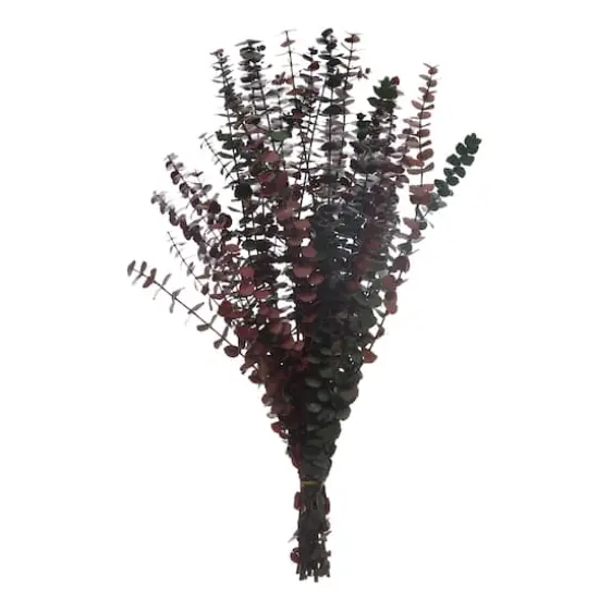 Dried Eucalyptus Bundle by Ashland&reg; {1}