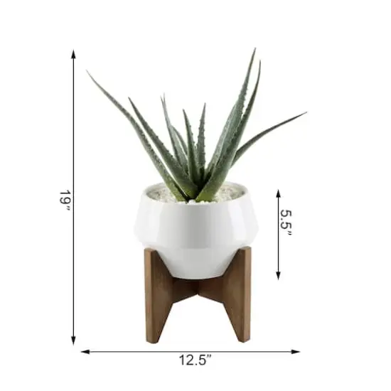 Flora Bunda&reg; 20" Aloe In 8.5" Geo Ceramic Pot On Wood Stand {3}