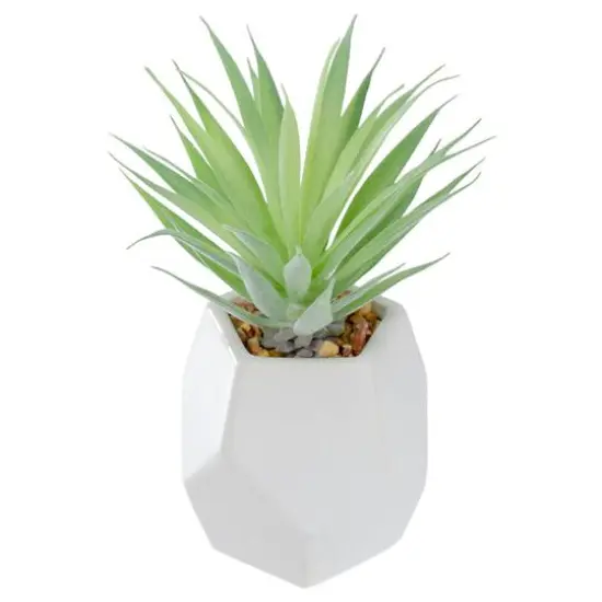 7.5" Green Sword Grass in White Geometric Pot {6}