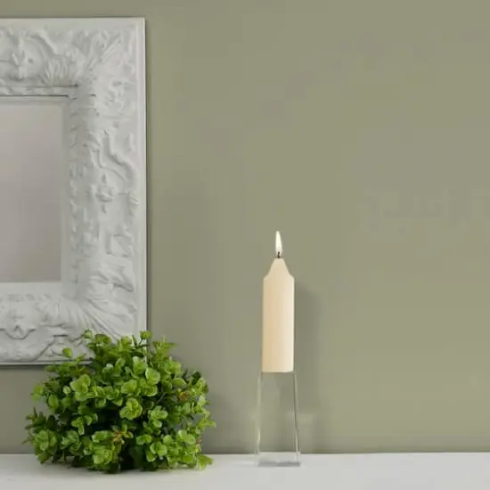 Root Candles 5" Unscented Timberline&trade; Collenette Taper Candles, 8ct. Ivory {4}