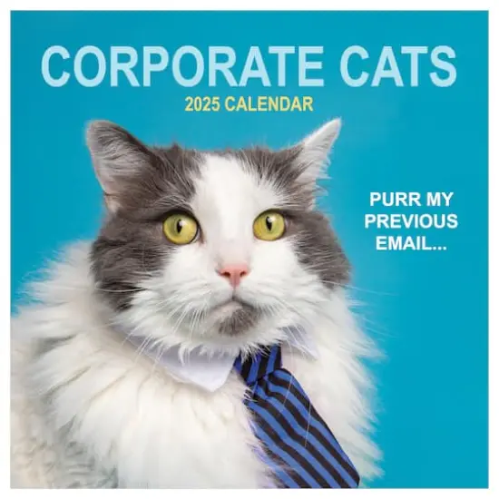TF Publishing 2025 Corporate Cats Wall Calendar {1}