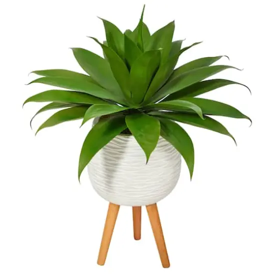 2.5ft. Agave Plant in White Planter with Stand {1}